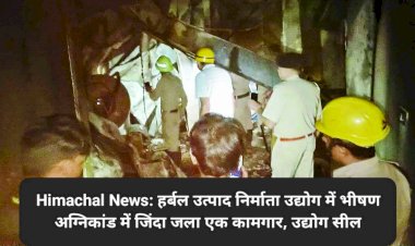 Himachal News: हर्बल उत्पाद निर्माता उद्योग में भीषण अग्निकांड में जिंदा जला एक कामगार, उद्योग सील  ddnewsportal.com