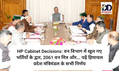 HP Cabinet Decisions: वन विभाग में खुल गए भर्तियों के द्वार, 2061 वन मित्र और... ddnewsportal.com