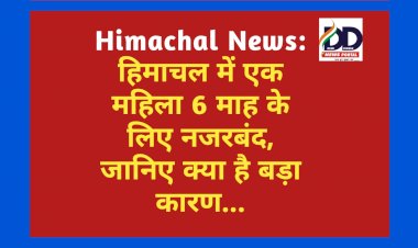 Himachal News: हिमाचल में एक महिला 6 माह के लिए नजरबंद, जानिए क्या है बड़ा कारण... ddnewsportal.com
