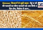 Sirmour: किसानों से जुड़ी खब़र- गेहूं व जौ की फसलों का बीमा करवाने को अब सिर्फ 4 दिन शेष, मिलेगा ये लाभ... ddnewsportal.com