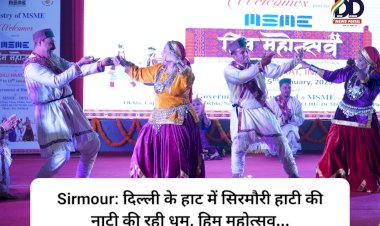 Sirmour: दिल्ली के हाट में सिरमौरी हाटी की नाटी की रही धूम, हिम महोत्सव...  ddnewsportal.com