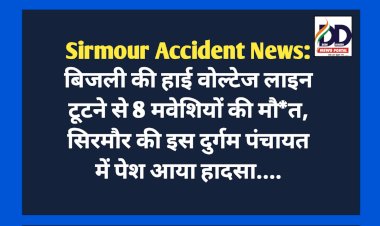 Sirmour Accident News: बिजली की हाई वोल्टेज लाइन टूटने से 8 मवेशियों की मौ*त  ddnewsportal.com