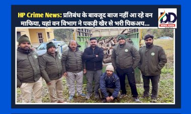 HP Crime News: प्रतिबंध के बावजूद बाज नहीं आ रहे वन माफिया, यहां वन विभाग ने पकड़ी खैर से भरी पिकअप...  ddnewsportal.com