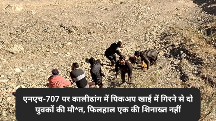 शिलाई: एनएच-707 पर कालीढांग में पिकअप खाई में गिरने से दो युवकों की मौ*त, फिलहाल एक की शिनाख्त नहीं ddnewsportal.com