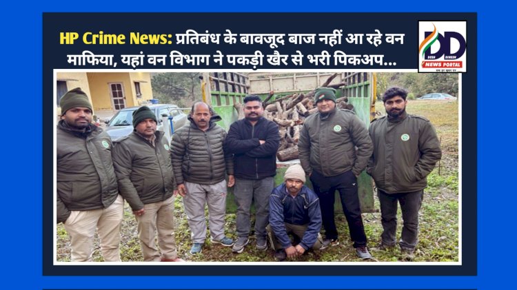 HP Crime News: प्रतिबंध के बावजूद बाज नहीं आ रहे वन माफिया, यहां वन विभाग ने पकड़ी खैर से भरी पिकअप...  ddnewsportal.com