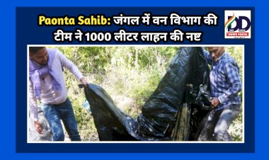Paonta Sahib: जंगल में वन विभाग की टीम ने 1000 लीटर लाहन की नष्ट ddnewsportal.com