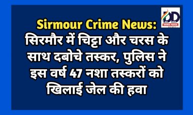 Sirmour Crime News: सिरमौर में चिट्टा और चरस के साथ दबोचे तस्कर, इस वर्ष सिरमौर पुलिस ने 47 नशा तस्करों को खिलाई जेल की हवा... ddnewsportal.com