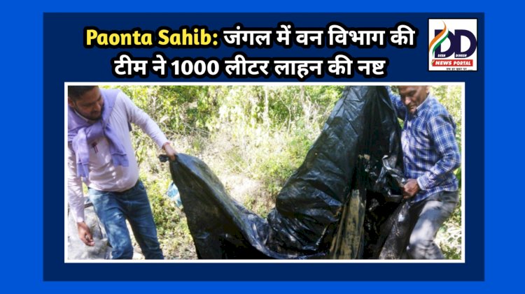 Paonta Sahib: जंगल में वन विभाग की टीम ने 1000 लीटर लाहन की नष्ट ddnewsportal.com