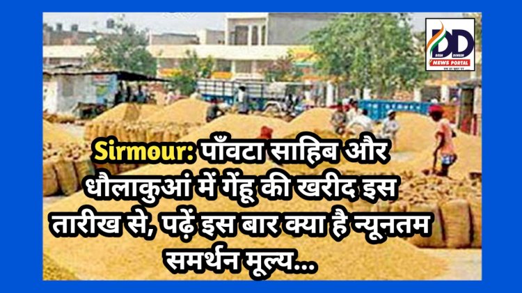 Sirmour: पाँवटा साहिब और धौलाकुआं में गेंहू की खरीद इस तारीख से, पढ़ें इस बार कितना है न्यूनतम समर्थन मूल्य... ddnewsportal.com