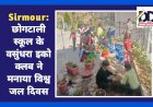 Sirmour: छोगटाली स्कूल के वसुंधरा इको क्लब ने मनाया विश्व जल दिवस  ddnewsportal.com