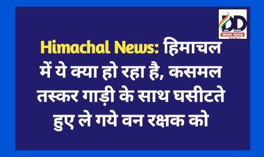 Himachal News: हिमाचल में ये क्या हो रहा है, कसमल तस्कर गाड़ी के साथ घसीटते हुए ले गये वन रक्षक को  ddnewsportal.com