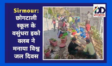 Sirmour: छोगटाली स्कूल के वसुंधरा इको क्लब ने मनाया विश्व जल दिवस  ddnewsportal.com