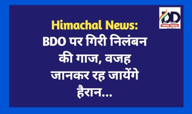 Himachal News: BDO पर गिरी निलंबन की गाज, वजह जानकर रह जायेंगे हैरान... ddnewsportal.com