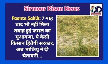 Paonta Sahib: 7 माह बाद भी नहीं मिला तबाह हुई फसल का मुआवजा, ये कैसी किसान हितैषी सरकार, अब भाकियू ने दी चेतावनी... ddnewsportal.com