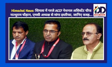 Himachal News: शिमला में गरजे ACCF नेशनल असिस्टेंट चीफ नात्थूराम चौहान, एमसी अध्यक्ष से मांगा इस्तीफा, जानिए वजह... ddnewsportal.com