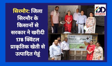 सिरमौर: जिला सिरमौर के किसानों से सरकार ने खरीदी 178 क्विंटल प्राकृतिक खेती से उत्पादित गेहूं  ddnewsportal.com