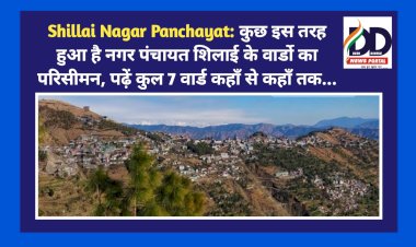 Shillai Nagar Panchayat: कुछ इस तरह हुआ है नगर पंचायत शिलाई के वार्डो का परिसीमन, पढ़ें कुल 7 वार्ड कहाँ से कहाँ तक... ddnewsportal.com