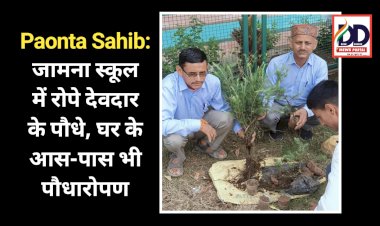 Paonta Sahib: जामना स्कूल में रोपे देवदार के पौधे, घर के आस-पास भी पौधारोपण ddnewsportal.com