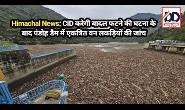 Himachal News: CID करेगी बादल फटने की घटना के बाद पंडोह डैम में एकत्रित वन लकड़ियों की जांच ddnewsportal.com