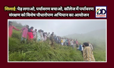 शिलाई: पेड़ लगाओ-पर्यावरण बचाओ, काॅलेज में विशेष पौधारोपण अभियान का आयोजन ddnewsportal.com