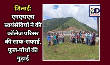 शिलाई: एनएसएस स्वयंसेवियों ने की कॉलेज परिसर की साफ-सफाई, फूल-पौधों की गुड़ाई  ddnewsportal.com