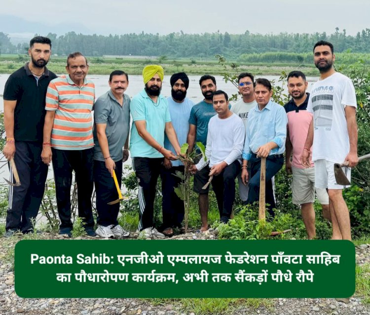 Paonta Sahib: एनजीओ एम्पलायज फेडरेशन पाँवटा साहिब का पौधारोपण कार्यक्रम, अभी तक सैंकड़ों पौधे रौपे ddnewsportal.com