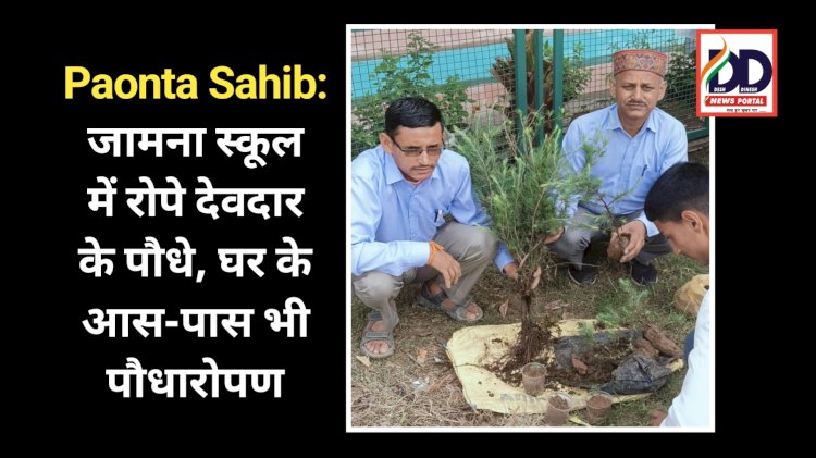 Paonta Sahib: जामना स्कूल में रोपे देवदार के पौधे, घर के आस-पास भी पौधारोपण ddnewsportal.com