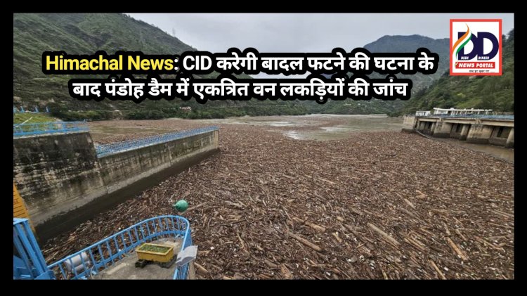 Himachal News: CID करेगी बादल फटने की घटना के बाद पंडोह डैम में एकत्रित वन लकड़ियों की जांच ddnewsportal.com