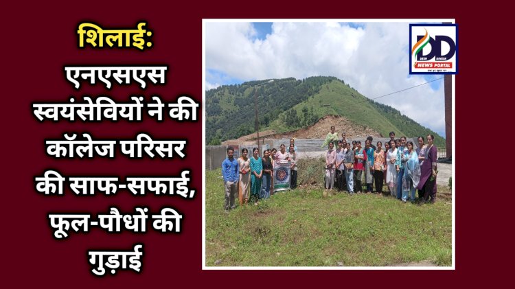 शिलाई: एनएसएस स्वयंसेवियों ने की कॉलेज परिसर की साफ-सफाई, फूल-पौधों की गुड़ाई ddnewsportal.com
