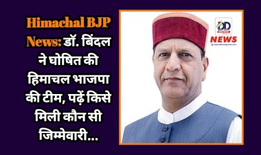 Himachal BJP News: डाॅ. बिंदल ने घोषित की हिमाचल भाजपा की टीम, पढ़ें किसे मिली कौन सी जिम्मेवारी...  ddnewsportal.com