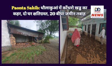 Paonta Sahib: धौलाकुआं में कोंथरो खड्ड का कहर, दो घर क्षतिग्रस्त, 20 बीघा उपजाऊ जमीन तबाह ddnewsportal.com