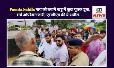Paonta Sahib: गाय को बचाने खड्ड में कूदा युवक डूबा, सर्च ऑपरेशन जारी, SDM की ये अपील...  ddnewsportal.com
