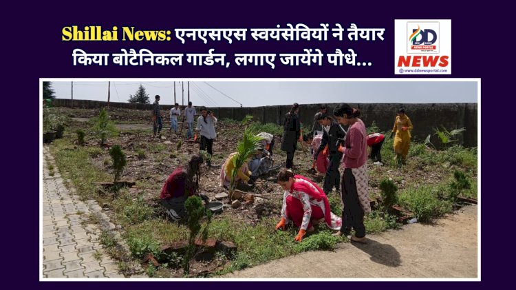Shillai News: एनएसएस स्वयंसेवियों ने तैयार किया बोटैनिकल गार्डन, लगाए जायेंगे पौधे... ddnewsportal.com