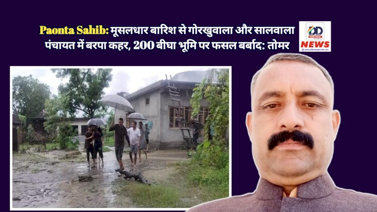 Paonta Sahib: मूसलधार बारिश से गोरखुवाला और सालवाला पंचायत में बरपा कहर, 200 बीघा भूमि पर फसल बर्बाद: रमेश तोमर ddnewsportal.com