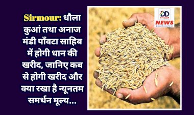 Sirmour: धौला कुआं तथा अनाज मंडी पाँवटा साहिब में होगी धान की खरीद, जानिए कब से होगी खरीद और क्या रखा है न्यूनतम समर्थन मूल्य...  ddnewsportal.com