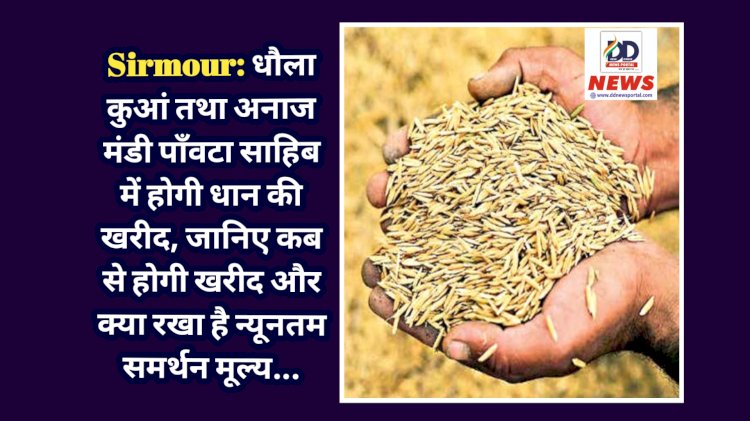 Sirmour: धौला कुआं तथा अनाज मंडी पाँवटा साहिब में होगी धान की खरीद, जानिए कब से होगी खरीद और क्या रखा है न्यूनतम समर्थन मूल्य...  ddnewsportal.com