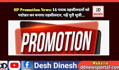 HP Promotion News: 14 नायब तहसीलदारों को पदोन्नत कर बनाया तहसीलदार, पढ़ें पूरी सूची...  ddnewsportal.com