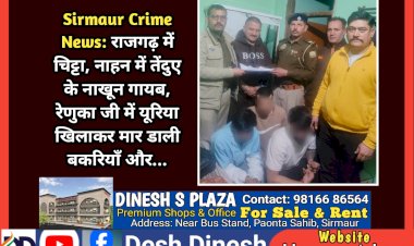 Sirmaur Crime News: राजगढ़ में चिट्टा, नाहन में तेंदुए के नाखून गायब, रेणुका जी में यूरिया खिलाकर मार डाली बकरियाँ और... ddnewsportal.com
