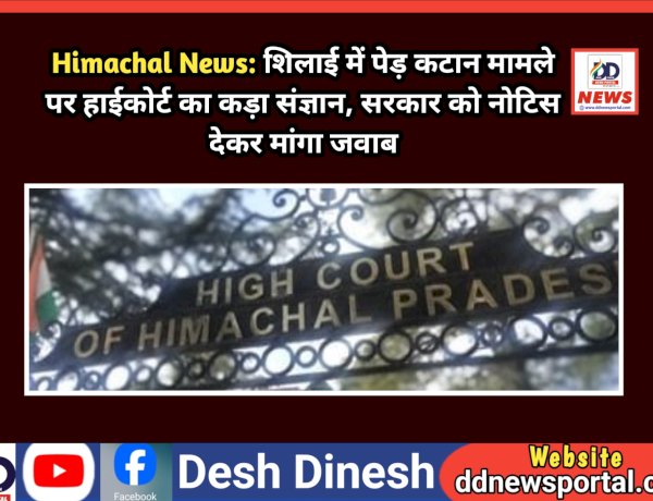 Himachal News: शिलाई में पेड़ कटान मामले पर हाईकोर्ट का कड़ा संज्ञान, सरकार को नोटिस देकर मांगा जवाब ddnewsportal.com