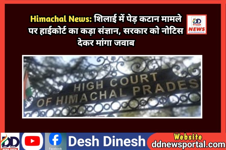 Himachal News: शिलाई में पेड़ कटान मामले पर हाईकोर्ट का कड़ा संज्ञान, सरकार को नोटिस देकर मांगा जवाब ddnewsportal.com