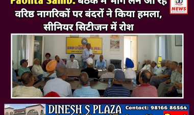 Paonta Sahib: बैठक में भाग लेने आ रहे वरिष्ठ नागरिकों पर बंदरों ने किया हमला, संगठन में रोश ddnewsportal.com