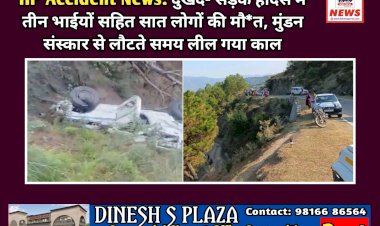 HP Accident News: दुखद- सड़क हादसे में तीन भाईयों सहित सात लोगों की मौ*त, मुंडन संस्कार से लौटते समय लील गया काल ddnewsportal.com