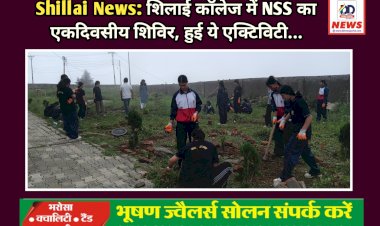 Shillai News: शिलाई काॅलेज में NSS का एकदिवसीय शिविर, हुई ये एक्टिविटी... ddnewsportal.com