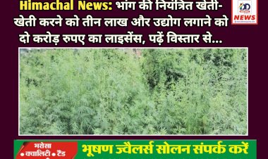 Himachal News: भांग की नियंत्रित खेती- खेती करने को तीन लाख और उद्योग लगाने को दो करोड़ रुपए का लाइसेंस, पढ़ें विस्तार से...  ddnewsportal.com