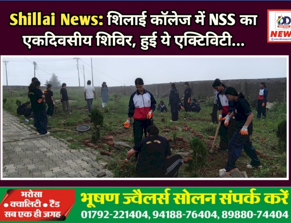 Shillai News: शिलाई काॅलेज में NSS का एकदिवसीय शिविर, हुई ये एक्टिविटी... ddnewsportal.com