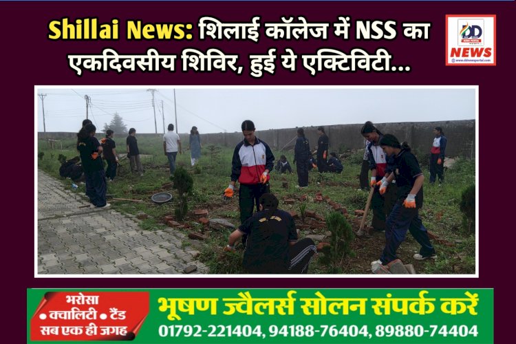Shillai News: शिलाई काॅलेज में NSS का एकदिवसीय शिविर, हुई ये एक्टिविटी... ddnewsportal.com