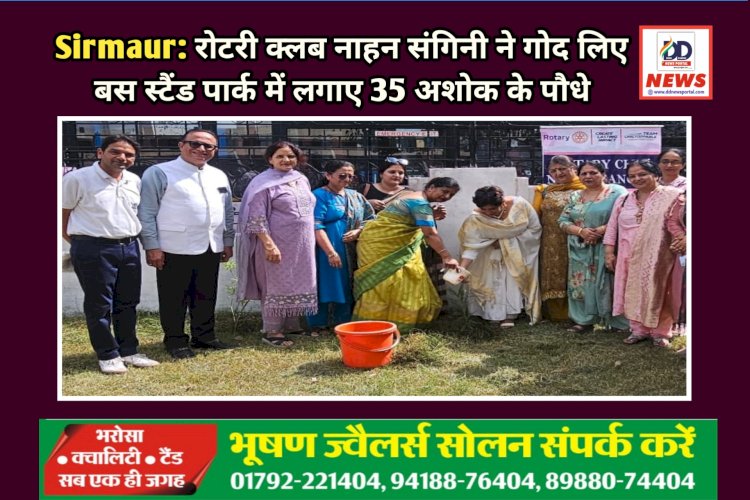 Sirmaur: रोटरी क्लब नाहन संगिनी ने गोद लिए बस स्टैंड पार्क में लगाए 35 अशोक के पौधे  ddnewsportal.com